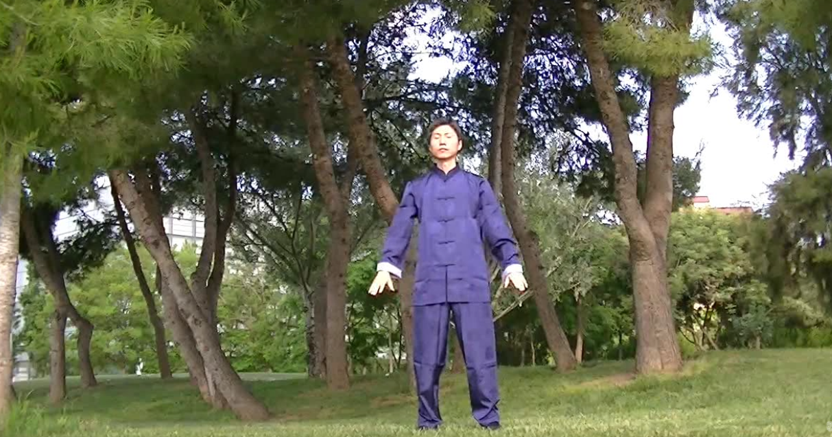 ¿Qué es el Chi Kung (Qi Gong)?