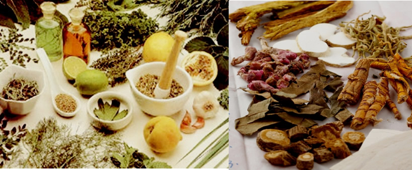 Fitoterapia Fitoterapia