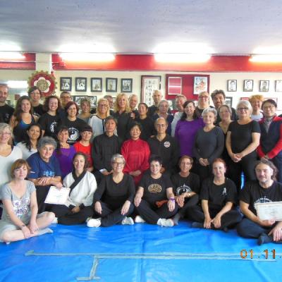 Curso de Nei Yang Gong por Dra. Liu Ya Fei, organizado por Instituto de Meidicna China BCN, 2015-11-1